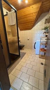 Pension Schmidt - Wipfelblick - Voll ausgestattetes Loft Apartment