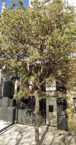 Encantador departamento en General Paz