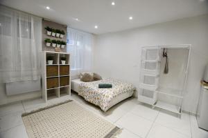 Appartements O numero 7 : photos des chambres