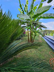 CasaVacanze Nichi vista mare