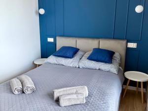 Modern Blue Apartment