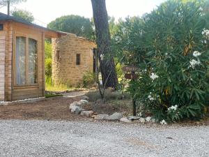 B&B / Chambres d'hotes La maison de la Cigale : photos des chambres