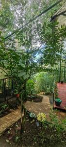 Glamping Butterflay Garden