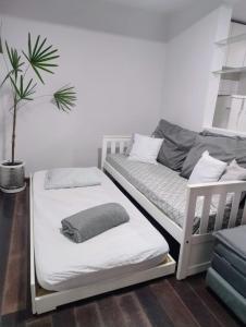 Casa, Loft em rua de comércio em Ctba