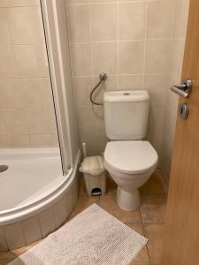 Standard Studio room in Aparthotel City 5