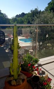 B&B / Chambres d'hotes Le Clos des Troubadours : photos des chambres