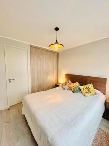 Depto Pucon Wifi y aire acondionado