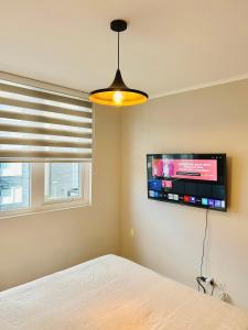 Depto Pucon Wifi y aire acondionado