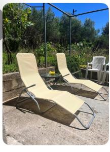 Apartman Škalabrin 1