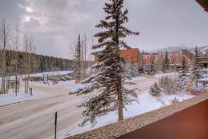 Tons of Amenities Ski In Ski Out