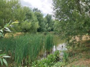 Vila cu 3 Dormitoare cu Acces la Lac