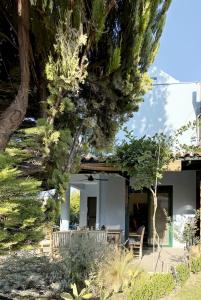 Nikiti Blue house 30m from the beach with sea view