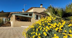 Maisons de vacances l-Avenir-De Toekomst : photos des chambres