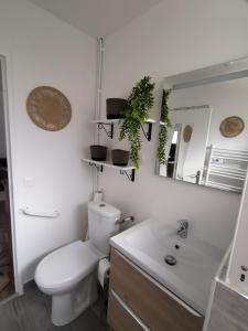 Maisons de vacances Maison avec grand jardin arbore : photos des chambres