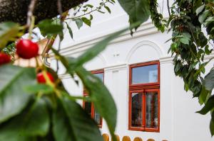 Pensionas Vitamin B63 Vend&eacute;gh&aacute;z Boldogkėvaralja Vengrija