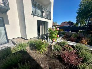 Pokoje Dziwnów Welle