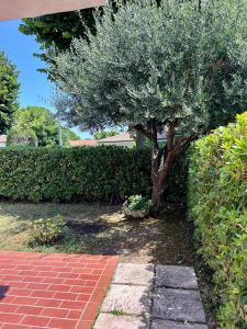 Tra la luna e il mare - delizioso appartamento con giardino nella riviera del conero per un soggiorno felice