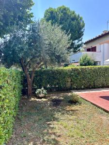 Tra la luna e il mare - delizioso appartamento con giardino nella riviera del conero per un soggiorno felice
