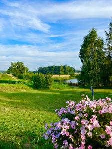 Domek na źródlanej polanie