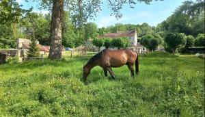 LAlberta appartement Genainville