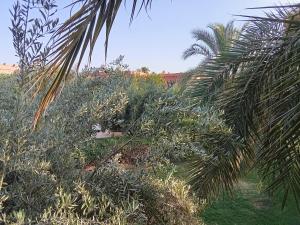 AbirKech appartement