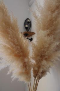 Appartements Spacieux Appartement Vue Mer et Montagne en dernier etage avec Terrasse - Parking et Wifi : photos des chambres