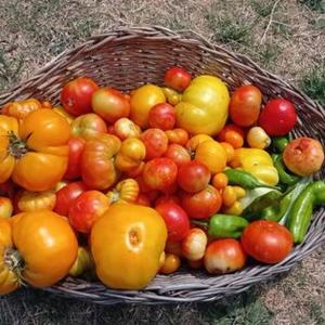 Guest Art House Aurora