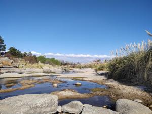 Cabañas Finca del molino