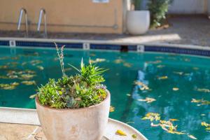 Mid-Century Modern Elegance in Hollywood w Parking