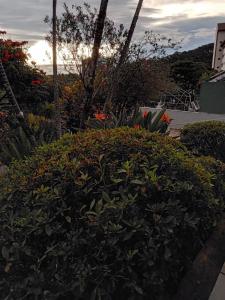 Bangalô - quarto Saxofone