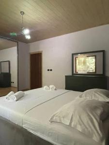 Villa in velipoje, a place to remember!