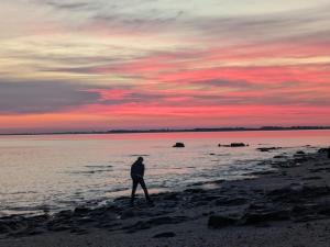 Villas Les pieds dans l-eau en famille : photos des chambres