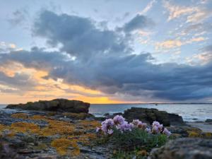 Villas Les pieds dans l-eau en famille : photos des chambres