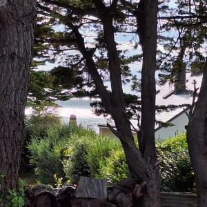 Villas Les pieds dans l-eau en famille : photos des chambres