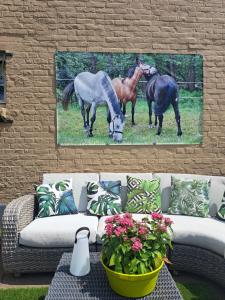 King of Gold Stables appartement met stalling voor 5 paarden