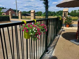 King of Gold Stables appartement met stalling voor 5 paarden