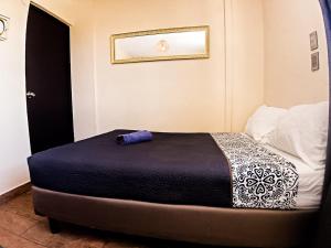 Garden room, Paseo Durango