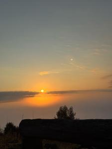 Flores da Serra Gastronomia e Turismo Rural