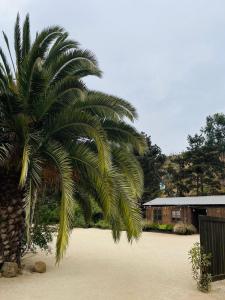 Parque Laguna de Zapallar