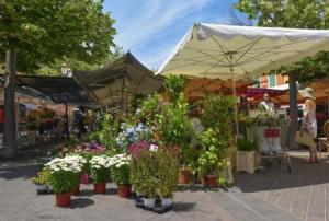Jardin tropical, parking, climatisation