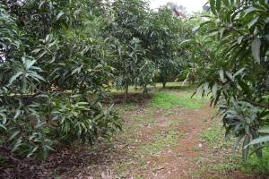 Kamshet Lakeside Serene Artist Villa