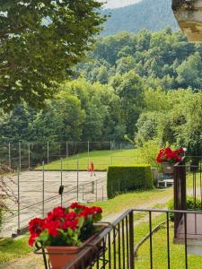 Sunrise Inn & Campo da Tennis