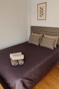 Rose casa apartments Vrnjacka Banja