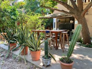 Maracuya Suites Zipolite