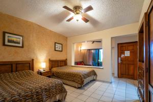 Hotel Palmas De Cortez