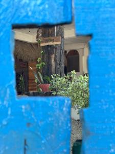 El árbol de la vida Hostel - Private Rooms Near Bacalar Lagoon