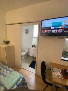 Appartements Studio pres de Paris Aeroport CDG 2 minutes de la gare : photos des chambres