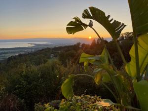 Charmante Bungalows mit Traumaussicht