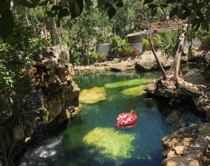 The Strelitzia Project with Private Cenote & Infinity Pool