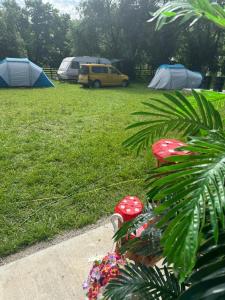 Camping -Dor de Munte -Ceahlau